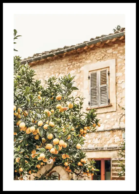 Direkt Vom Hersteller Lemon Grove Serenade Poster