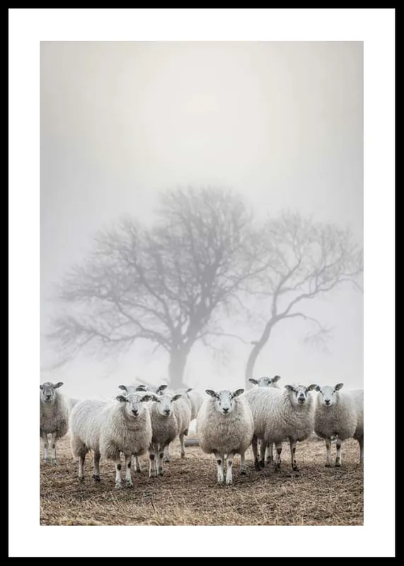 Neue Ware Sheep In Fog Poster
