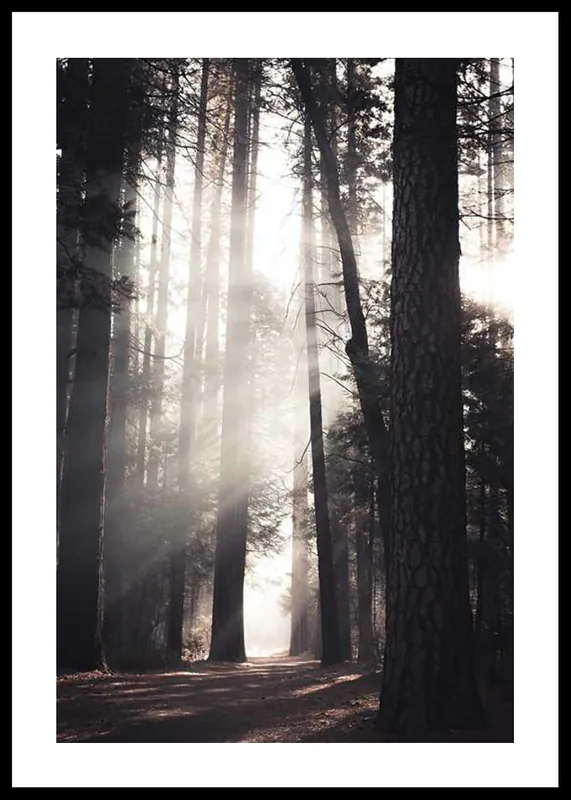 Preis Gesenkt Yosemite Valley Poster
