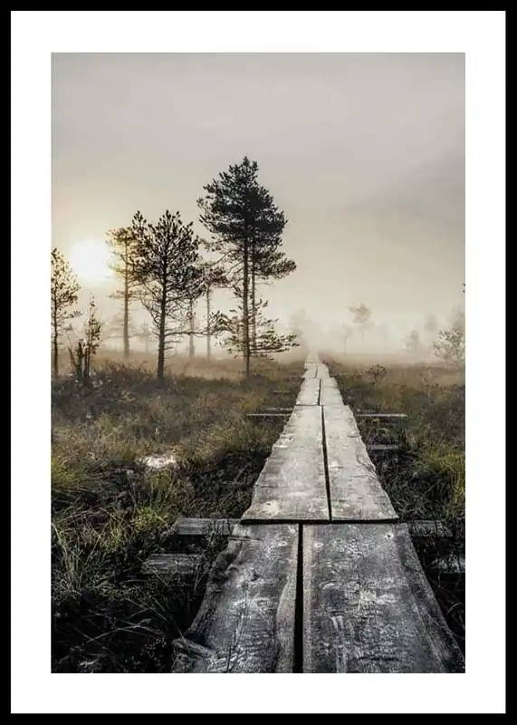 Gratis Versand Torronsuo Wilderness Poster