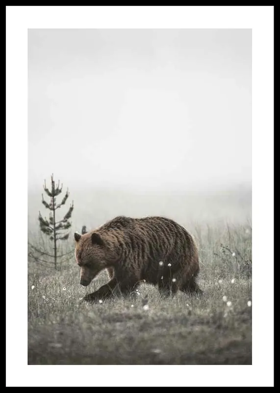 Winter Bear Poster Expressversand