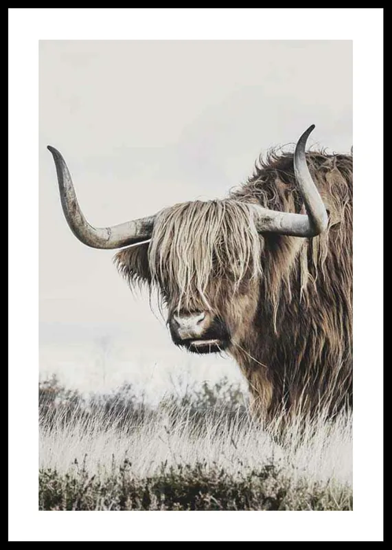 Winter Cow Poster Echt