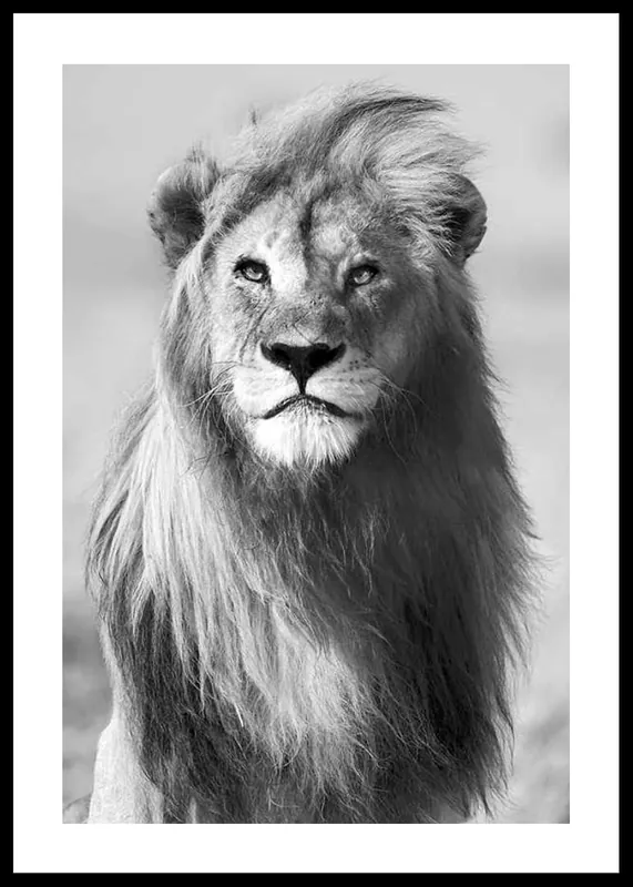 Solange Der Vorrat Reicht Majestic Lion Poster