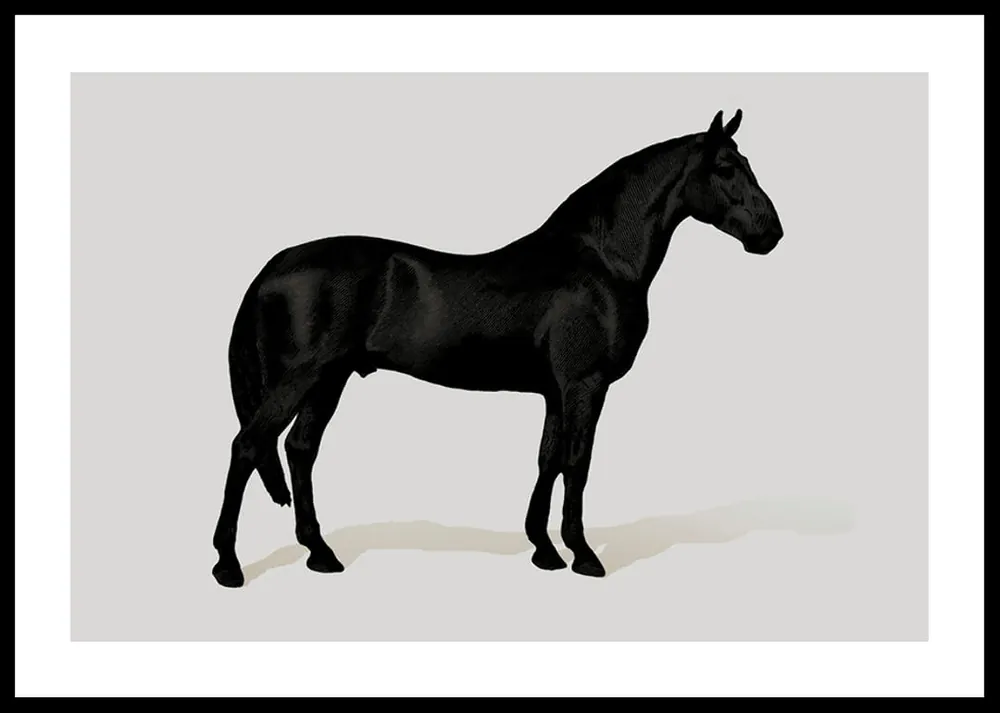 Black Horse Land. Drawing Poster Begrenztes Angebot
