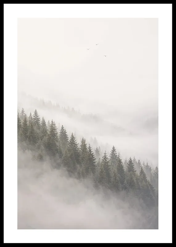 Ethereal Woodland Poster Meistverkauft