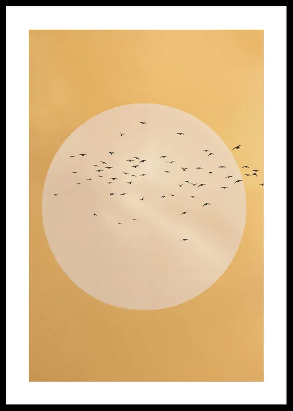 Circle Of Sky Poster Zertifiziert