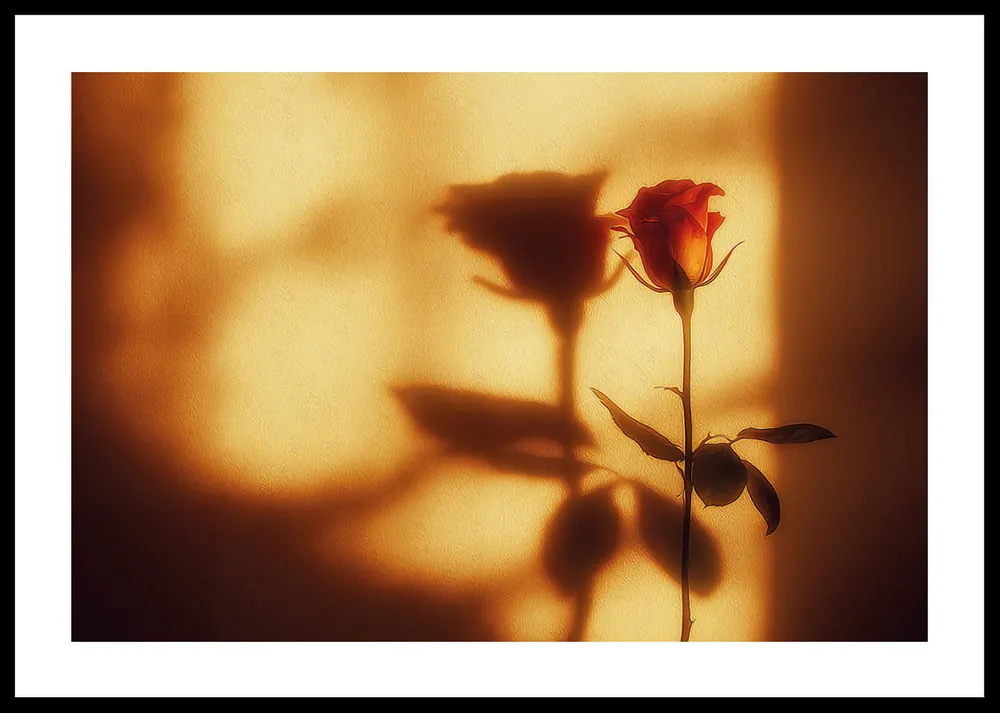 Golden Blossom Shadow Poster Saisonangebot