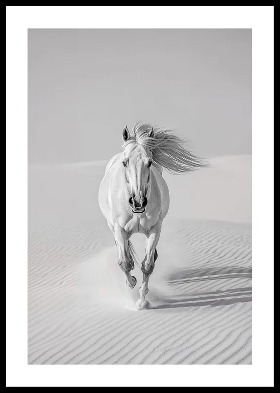 Desert Spirit Poster Letzte Chance
