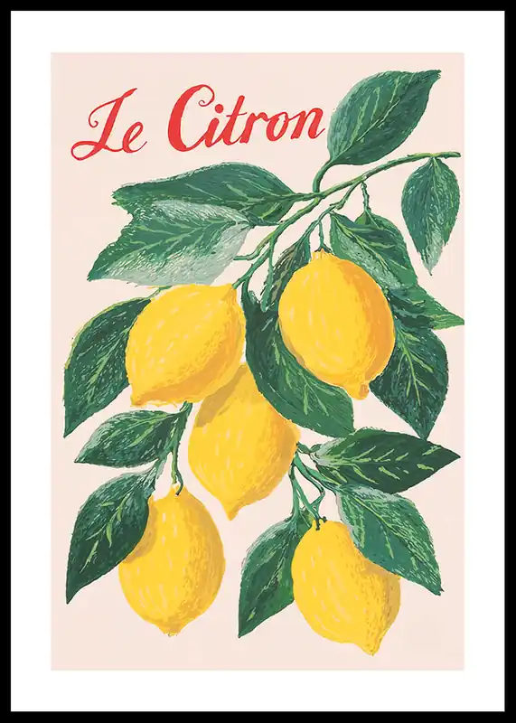 Citrus Symphony Poster Versand Am Gleichen Tag