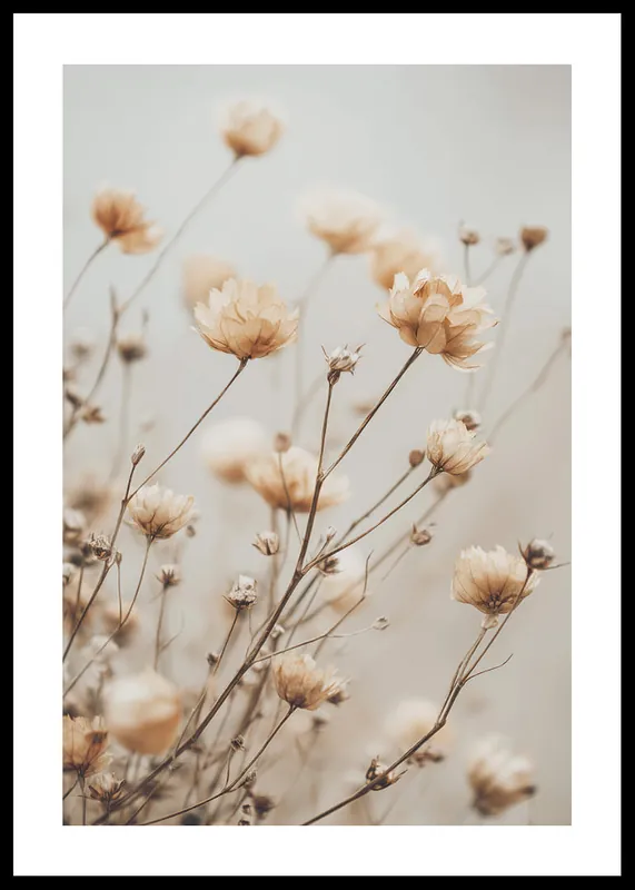 Bestpreis Timeless Petals Elegance Poster