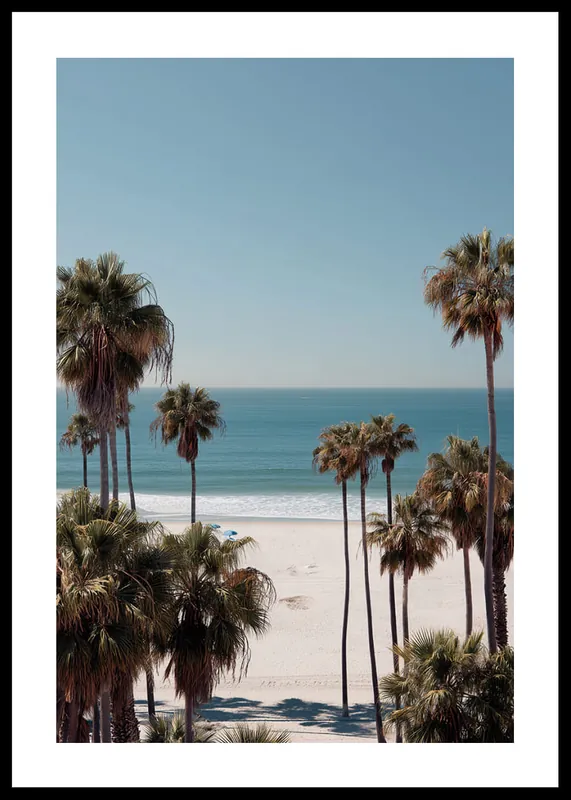Palms Over Paradise Poster Versand Am Gleichen Tag