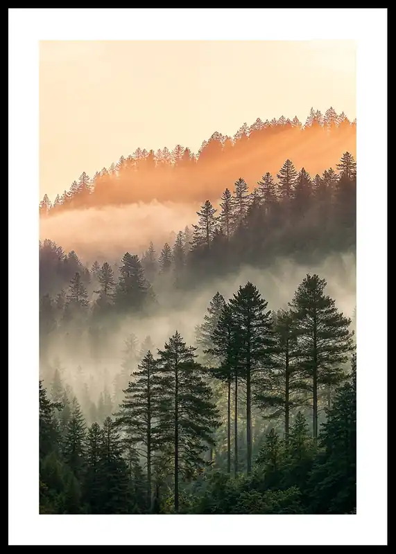 Must-Have Misty Dawn Awakening Poster