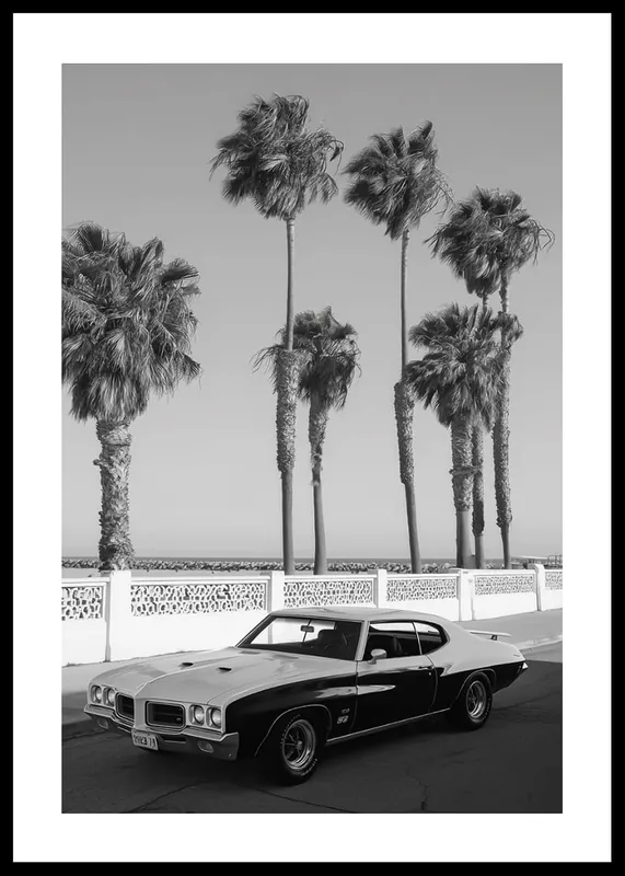 Palm Street Legend Poster Sofort Bestellen