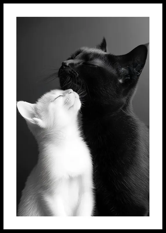 Markenprodukt Yin And Yang Cats Poster