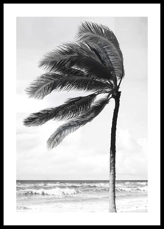 Breeze On Palmtree Poster Garantierte Lieferung