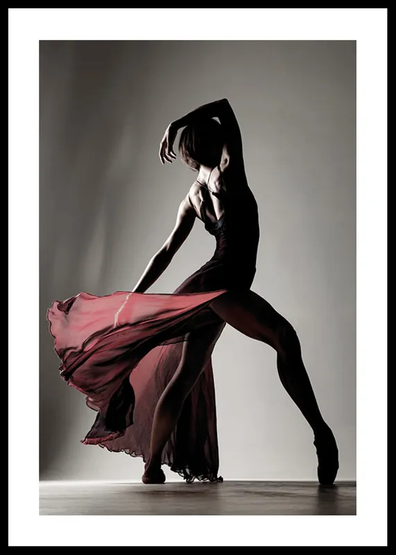 Silhouette Of Grace Poster Saisonangebot