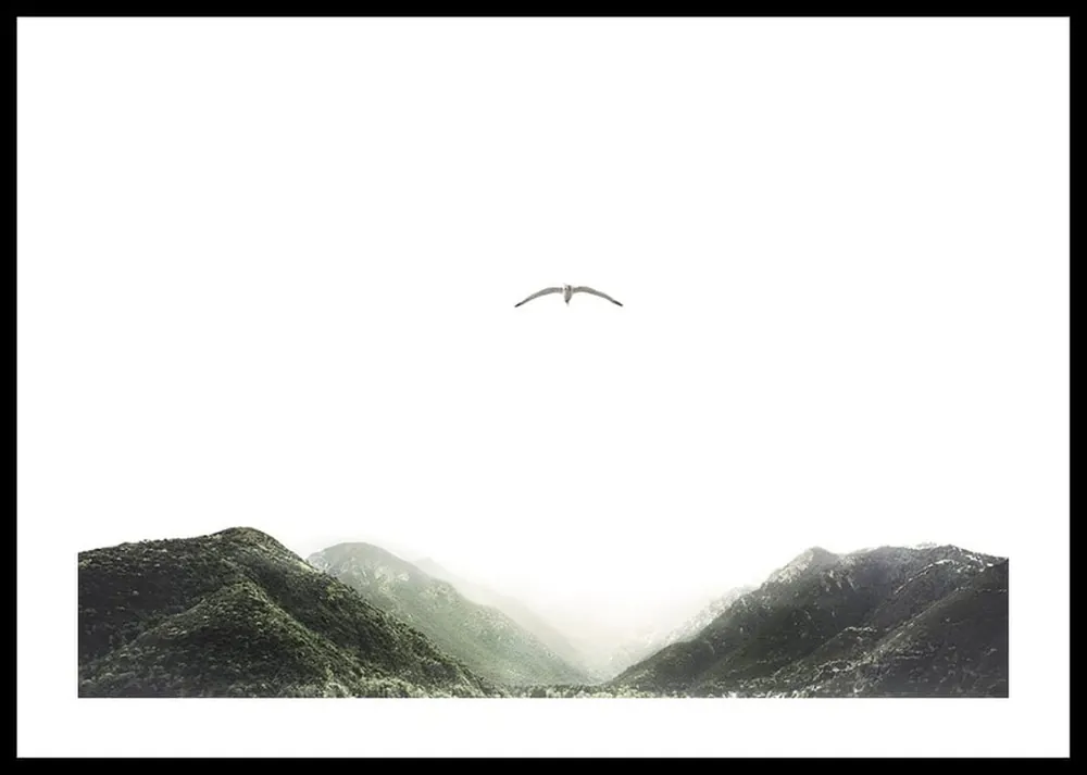 Solitary Flight Poster Direkt Vom Hersteller