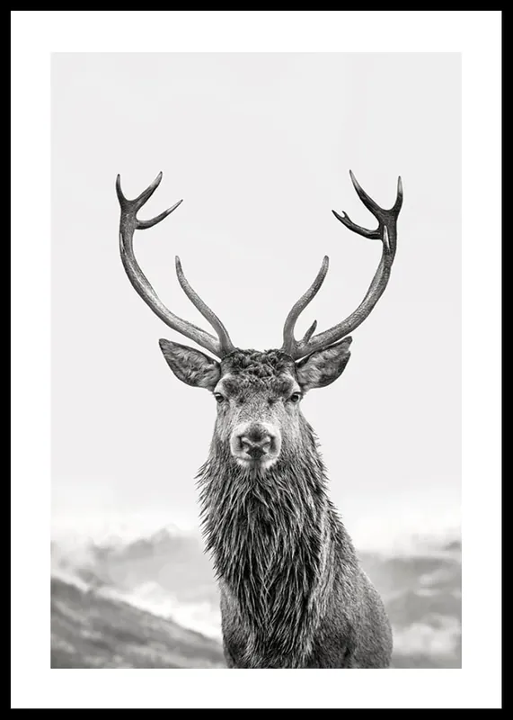 Beliebt Guardian Of The Forest Poster