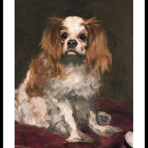 A King Charles Spaniel By Edouard Manet Poster Online Kaufen