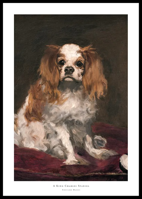 A King Charles Spaniel By Edouard Manet Poster Online Kaufen