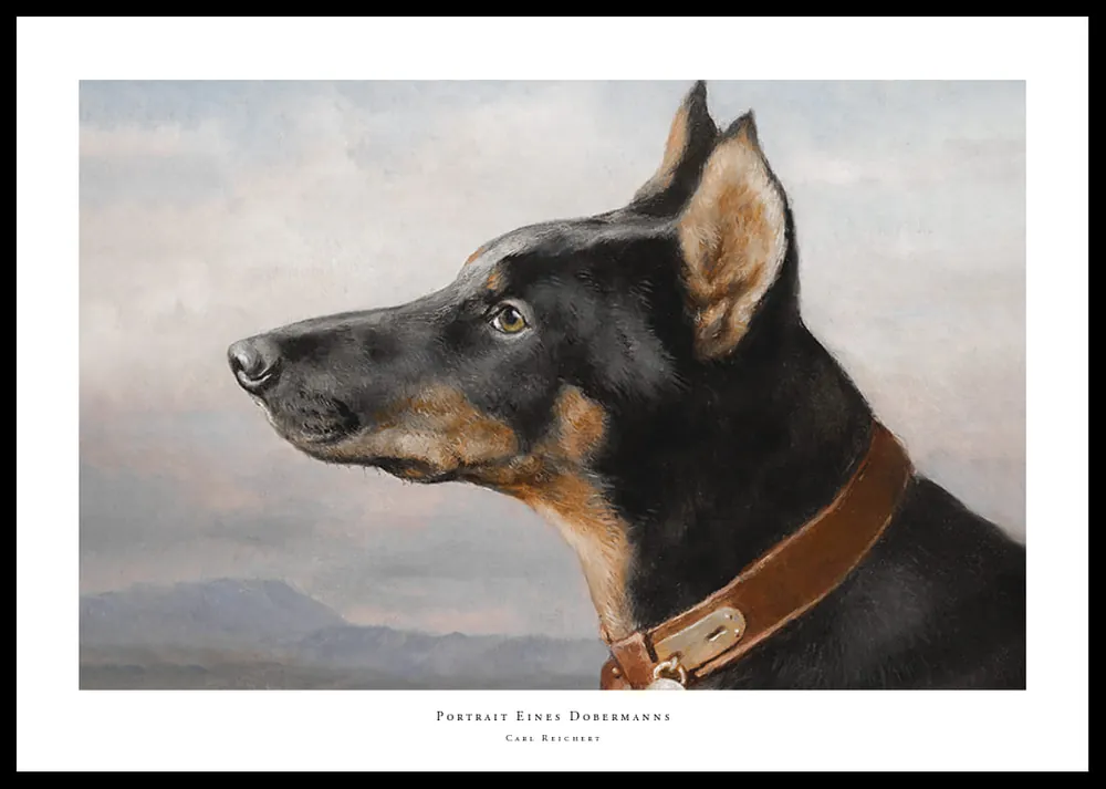 Online Kaufen Portrait Eines Dobermanns By Carl Reichert Poster