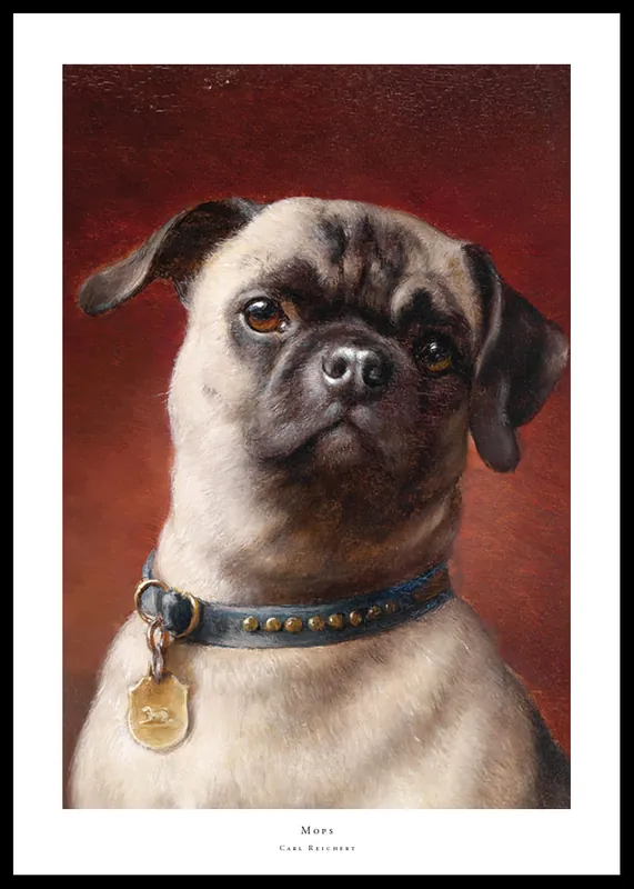 Meistverkauft Mops By Carl Reichert Poster