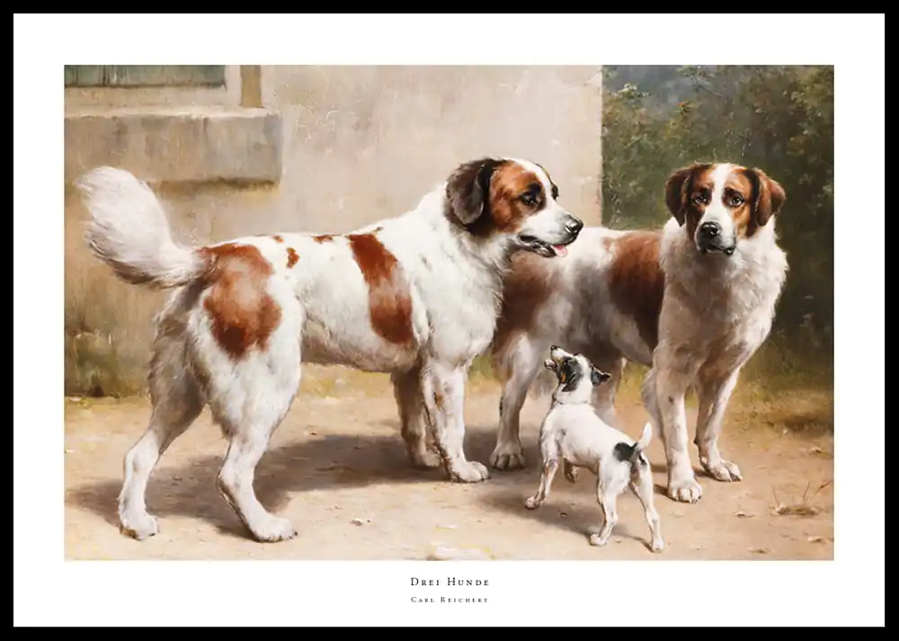 Drei Hunde By Carl Reichert Poster Billig