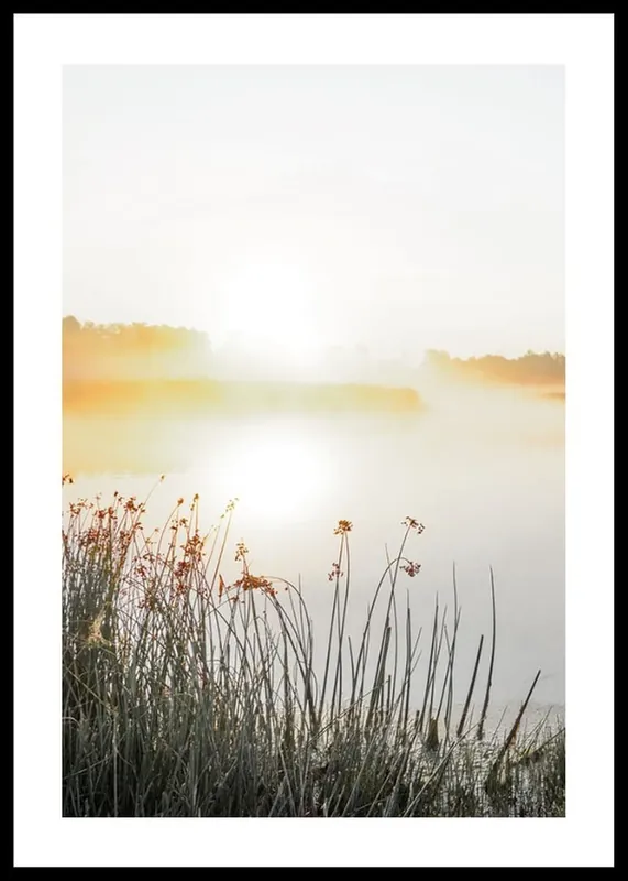 Morning Mist By Lake Poster Markenware