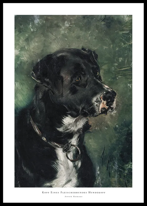 Nur Für Kurze Zeit Kopf Eines Fleischerhundes Hundekopf By Anton Romako Poster