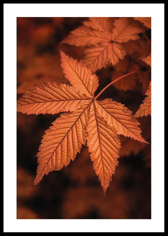 Kracherpreis The Essence Of Fall Poster