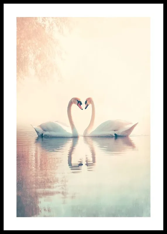 Neuheit Swan Lovers On The Lake Poster