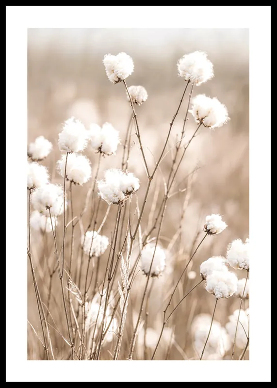 Cotton Field No2 Poster Kostenfreie Lieferung