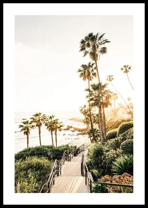 Sunset Coastline Poster Echt