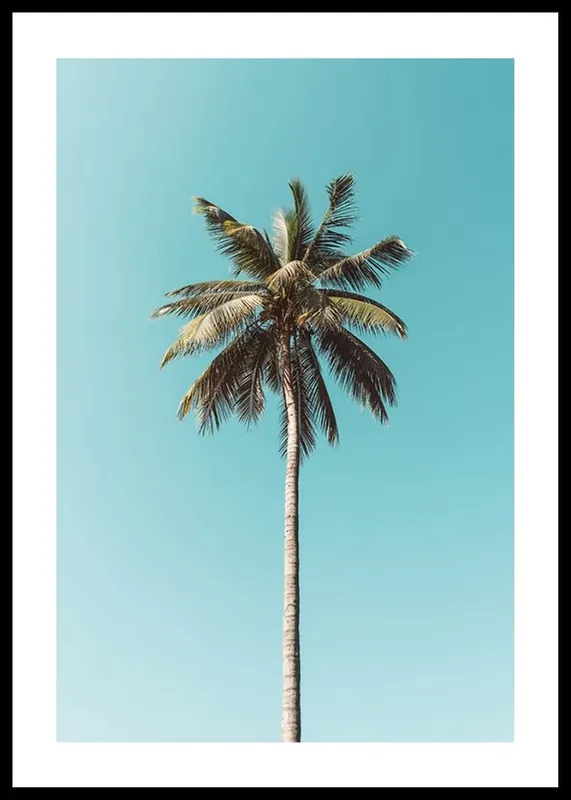Palm Tranquility Poster Must-Have