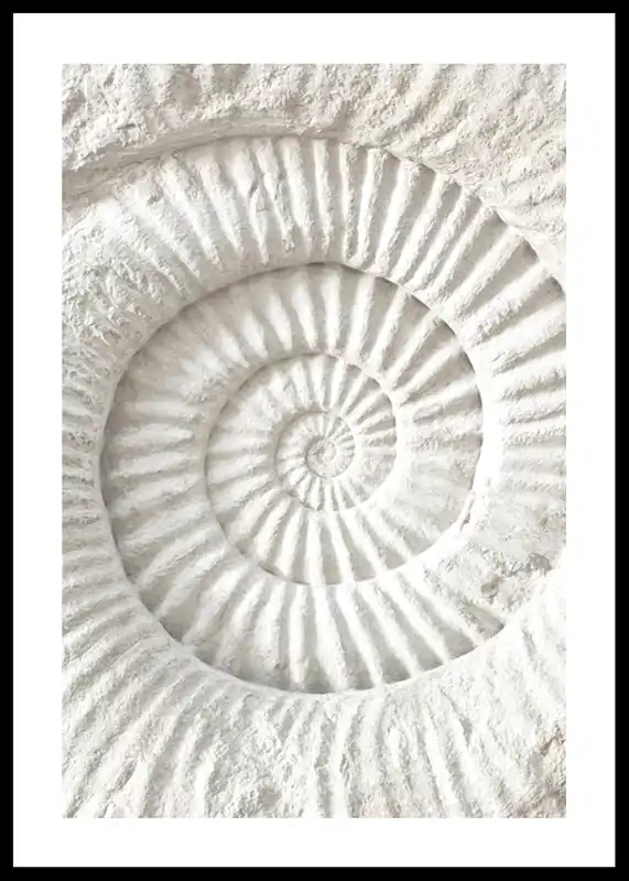 Online Kaufen The Nautilus Carving Poster
