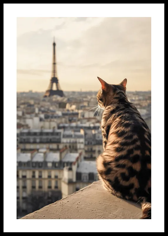 Günstig Cat In Paris Poster