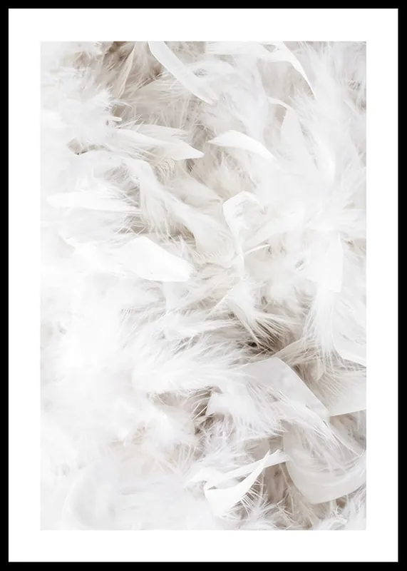 White Feathers Poster Solange Der Vorrat Reicht