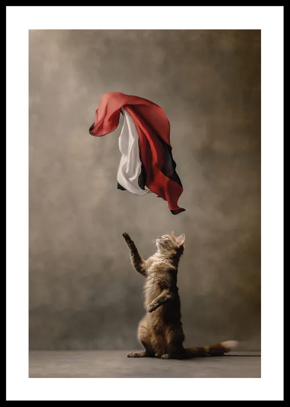 Playful Cat Studio Elements Poster Must-Have