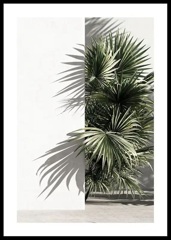 Mediterranian Patio No3 Poster Expressversand