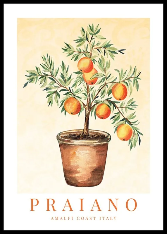 Expressversand Praiano Amalfi Oranges Poster