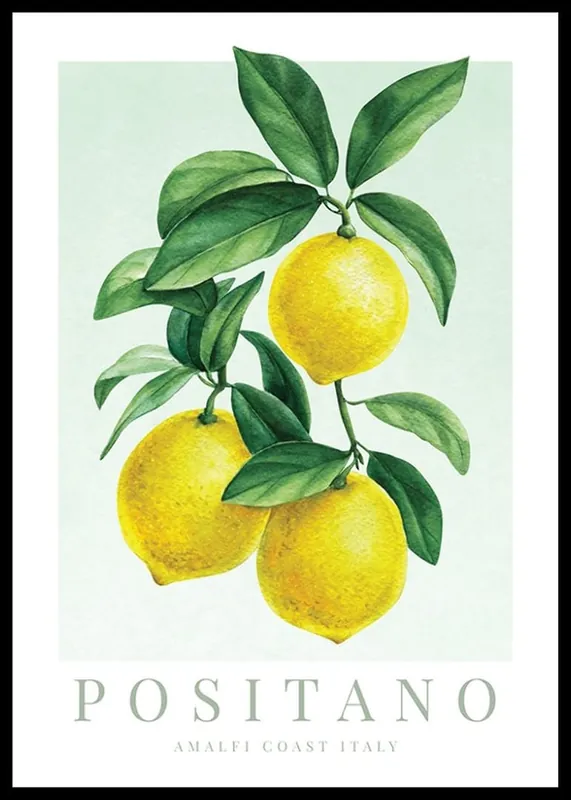 Positano Amalfi Lemons Poster Finale Aktion
