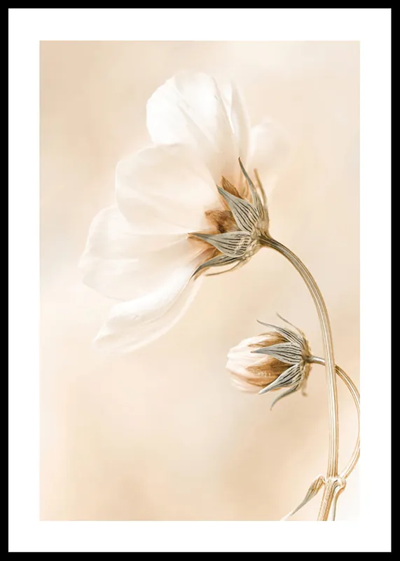 Jetzt Bestellen Spring Flowers No1 Poster