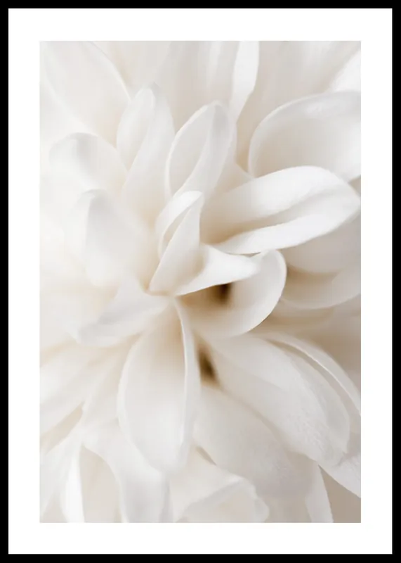Boho Flowers No2 Poster Online Kaufen