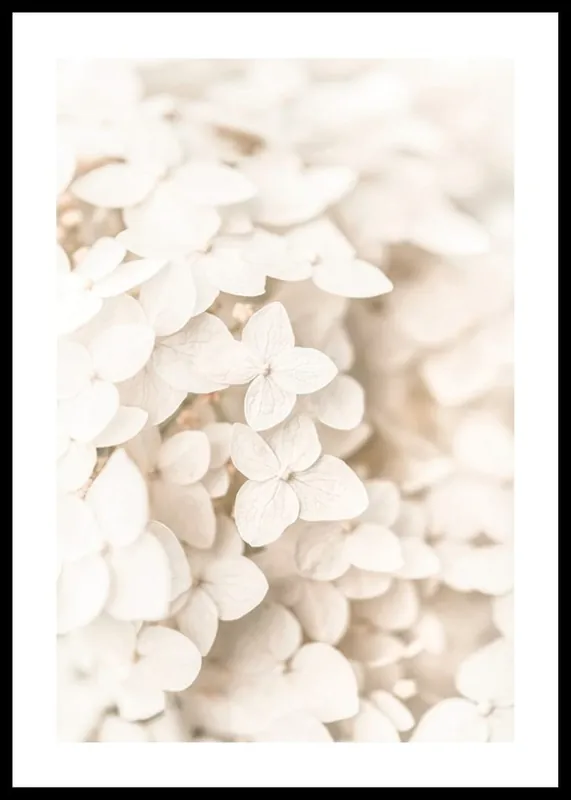 Nur Für Kurze Zeit Boho Flowers No3 Poster