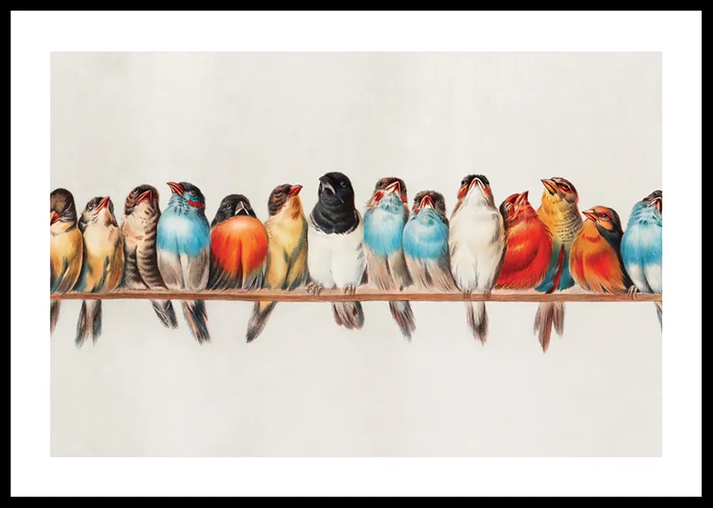 Birds In A Row Landscape Poster Mega-Angebot