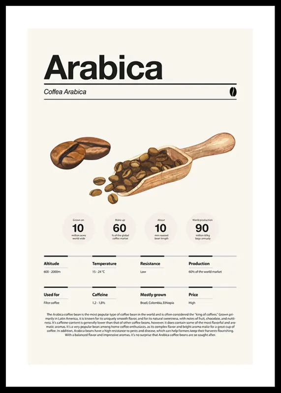 Arabica Coffee Beans Poster Neue Kollektion