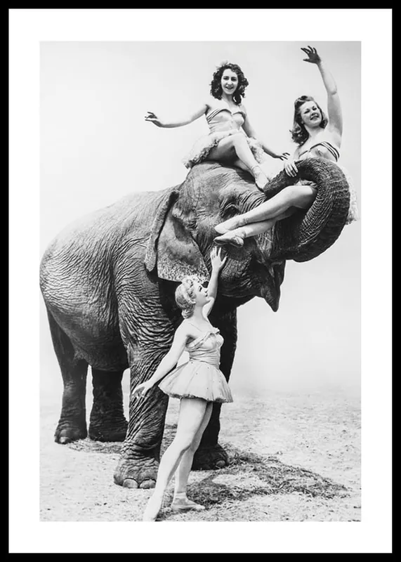 Direkt Vom Hersteller Women Riding Elephant Poster