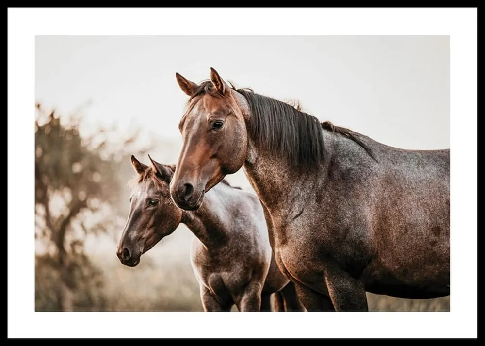 Schnäppchen Brown Horses Landscape Poster