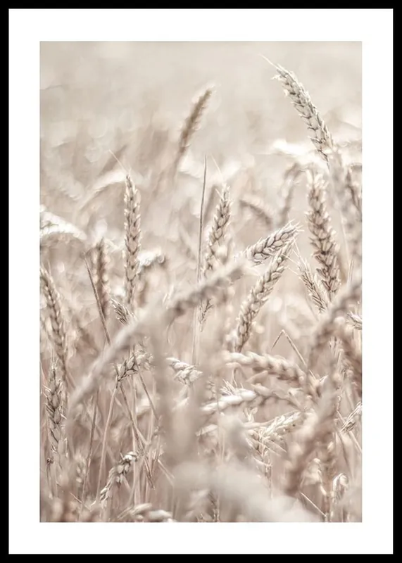 Wheat Accumulation Poster Online Kaufen