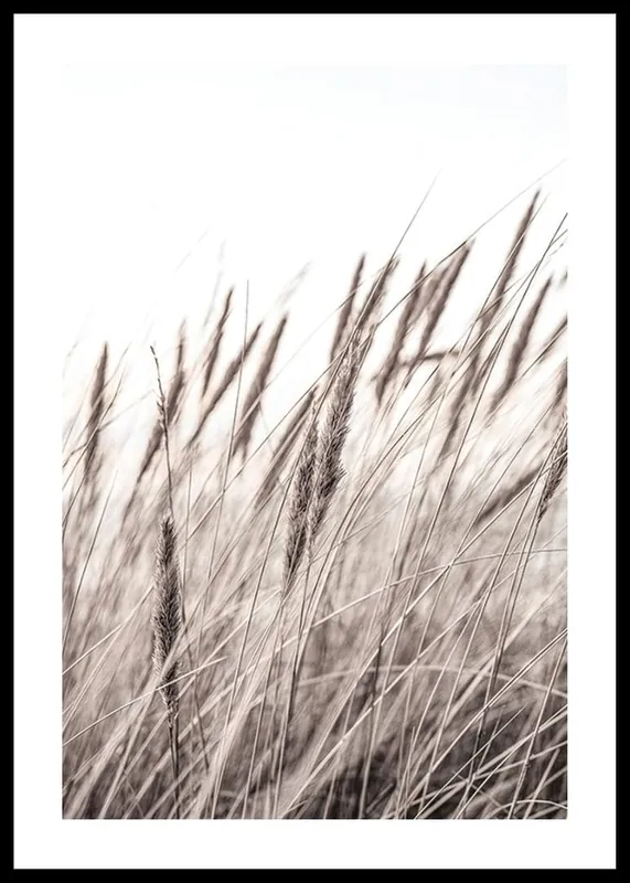 Schneller Versand Boho Dried In Nature No1 Poster